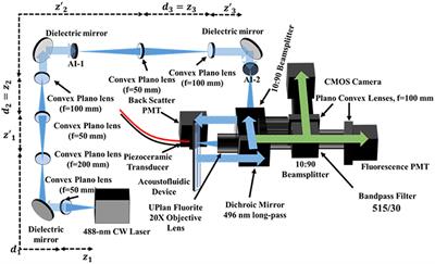 Toward the Development of an On-Chip Acoustic Focusing Fluorescence Lifetime Flow Cytometer